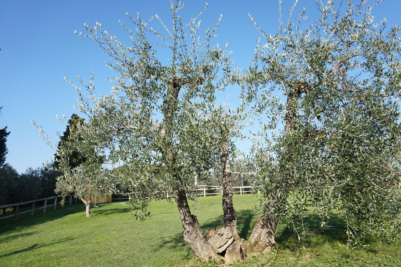 Residenza Piandaccoli Villa Lastra a Signa Luaran gambar